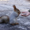 Ingyenes mókuspark nyílt Budapesten!